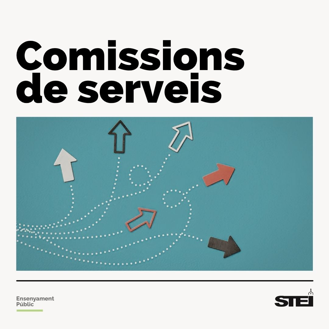 Comissions de serveis