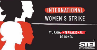 vaga imatge 2 petita logo stei