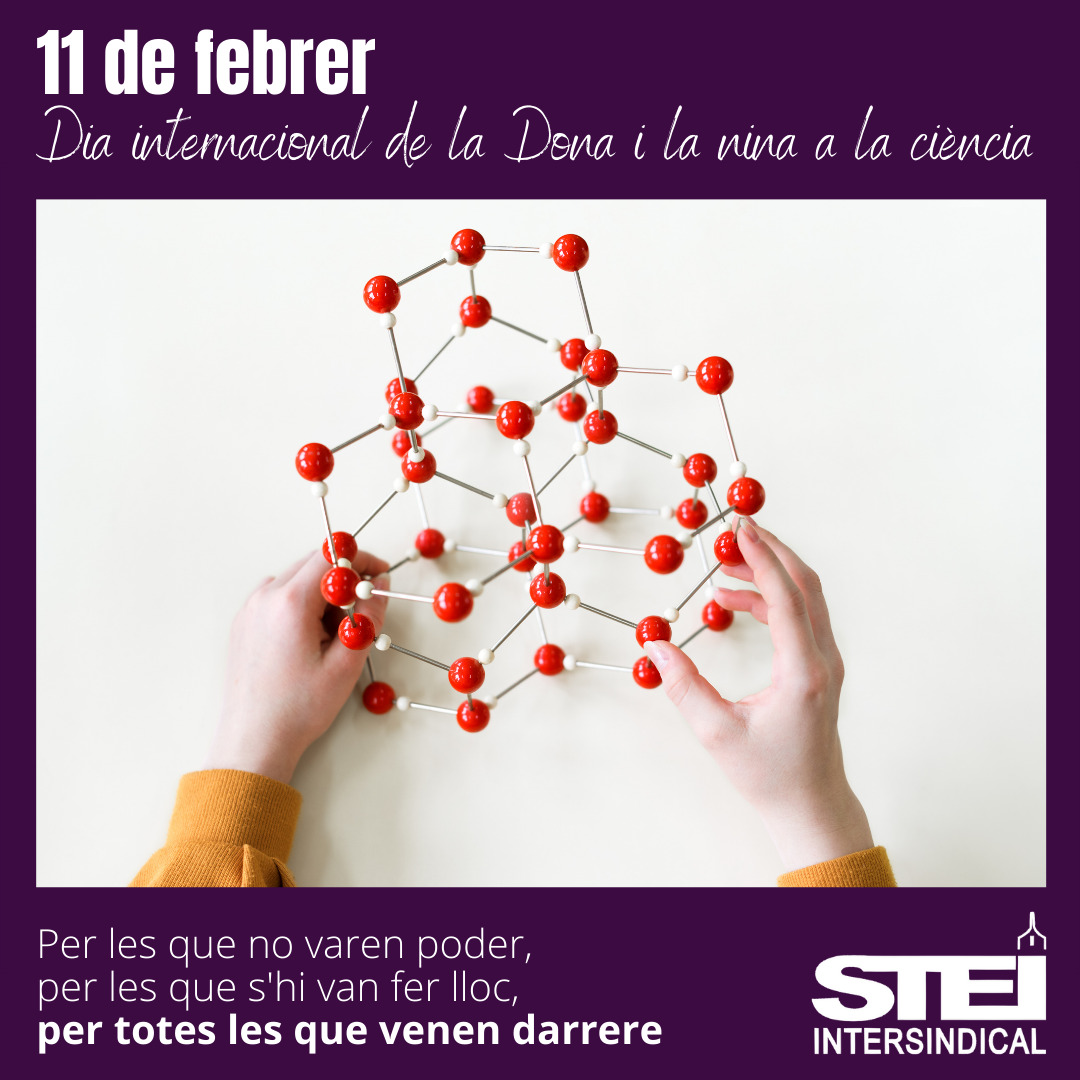 11 02 2021 Dia Dona Nina Ciència