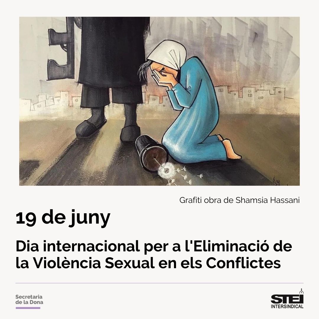 19J Violència Sexual Conflictes