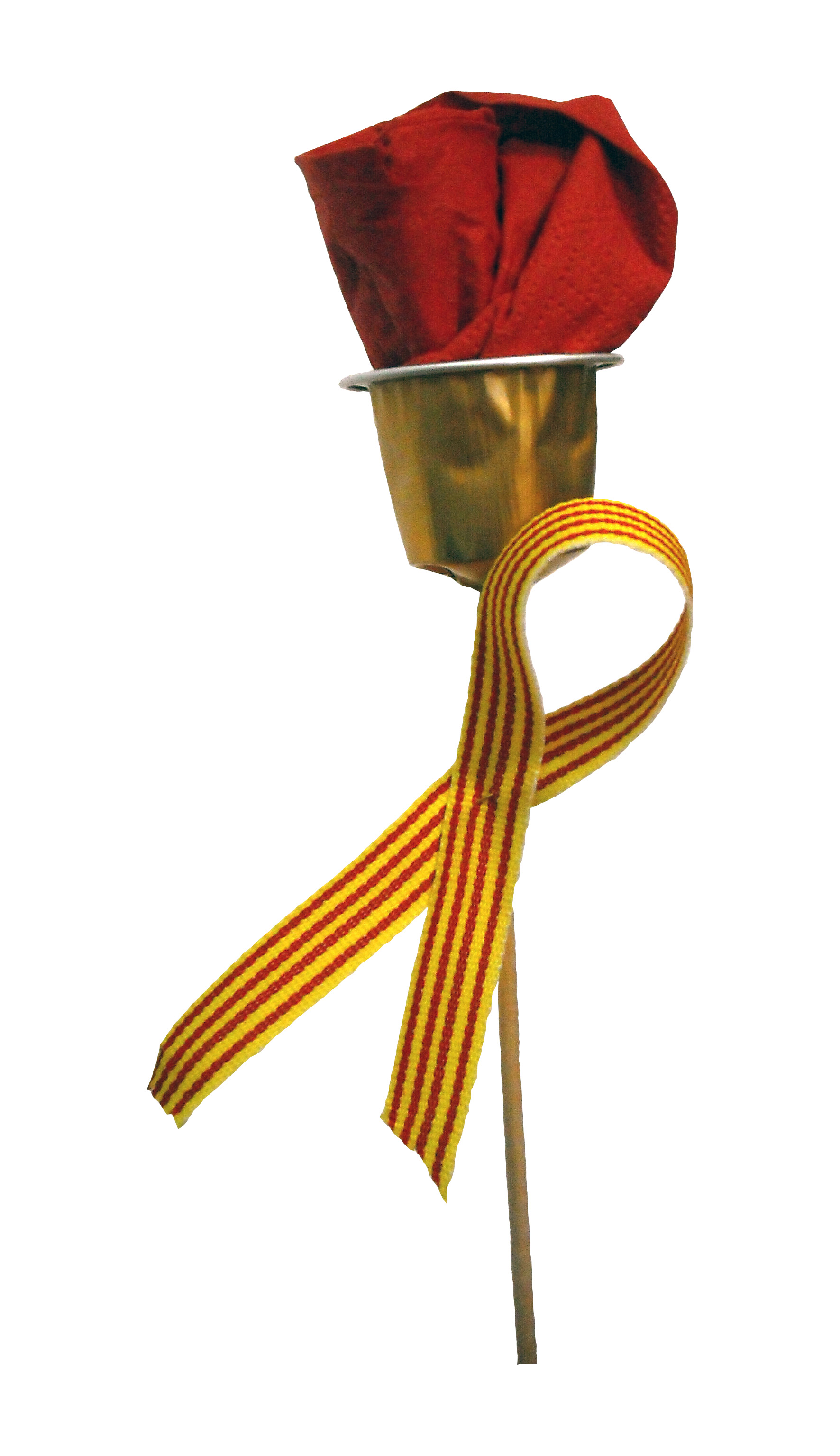 Sant Jordi enllaçat